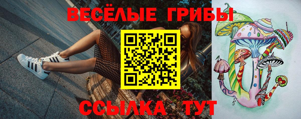 Калач-на-Дону  Галлюциногенные грибы Magic Shrooms  Вход с VPN 